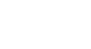 TRIWI Marketing Digital